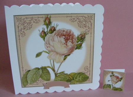 Vintage Rose 8x8 Topper & Embellishments by Diana Holmes