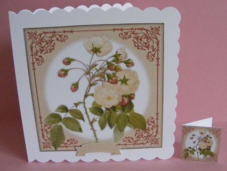 Vintage Rose 8x8 Topper & Embellishments by Diana Holmes