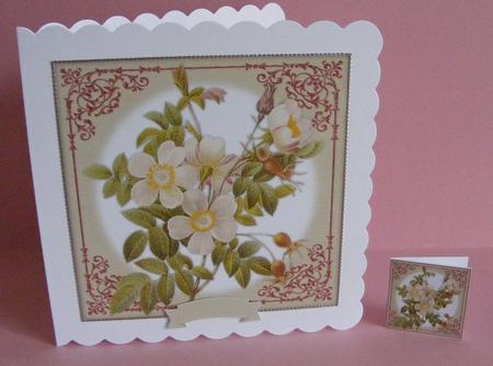 Vintage Rose 8x8 Topper & Embellishments by Diana Holmes