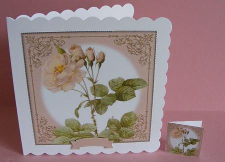 Vintage Rose 8x8 Topper & Embellishments by Diana Holmes