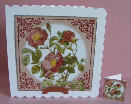 Vintage Rose 8x8 Topper & Embellishments by Diana Holmes