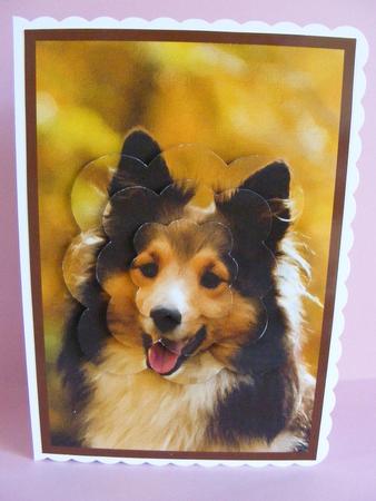 Sheltie Dog Scalloped Pyramid by Diana Holmes