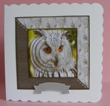 Owl Watercolour 6x6 Card Front & Decoupage by Diana Holmes