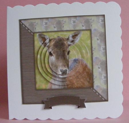 Sweet Deer Watercolour 6x6 Card Front & Decoupage by Diana Holmes