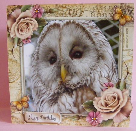 Beautiful Brown Owl 8x8 Mini Kit by Diana Holmes