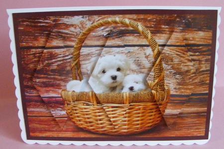 Cute Puppies in Basket Diamond Panel Card by Diana Holmes