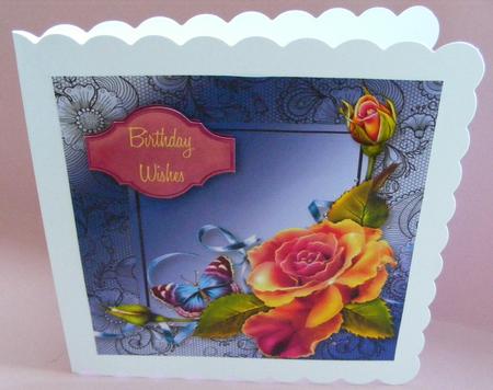 Beautiful Bright Roses & Flutter Lacey Square by Diana Holmes