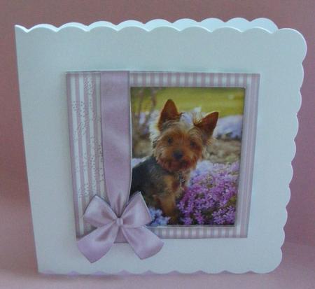 Pup in Lilac Frame 8x8 by Diana Holmes