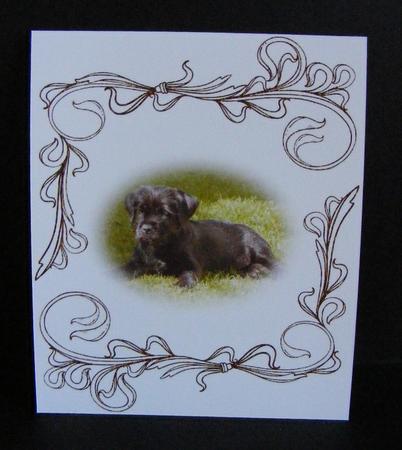 Dr002 Frames Embellishments *png* by Diana Holmes