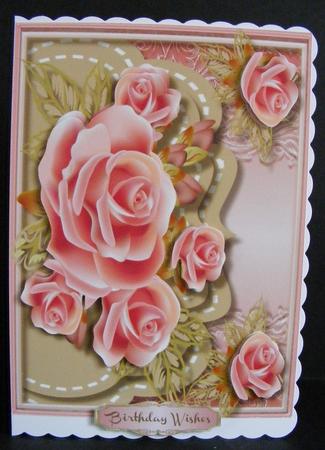 Beautiful Roses on a Envelpoe Frame  by Diana Holmes