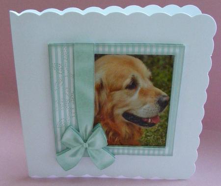 Dog in Turquoise Frame with Bow 8x8 by Diana Holmes