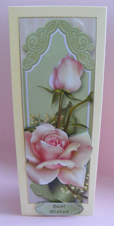 Gorgeous Pink Roses Large Dl by Diana Holmes