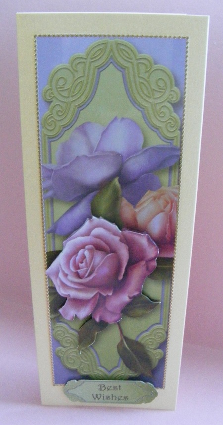 Beautiful Belle Roses Large Dl by Diana Holmes
