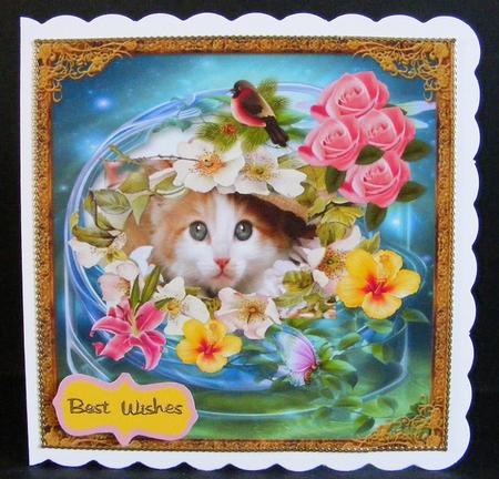 Hello Kitty by Diana Holmes
