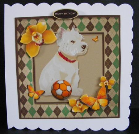 White Puppy and Butterflies by Diana Holmes