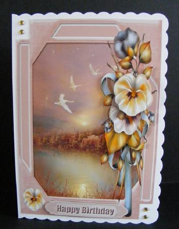 Pansies and Swans by Diana Holmes