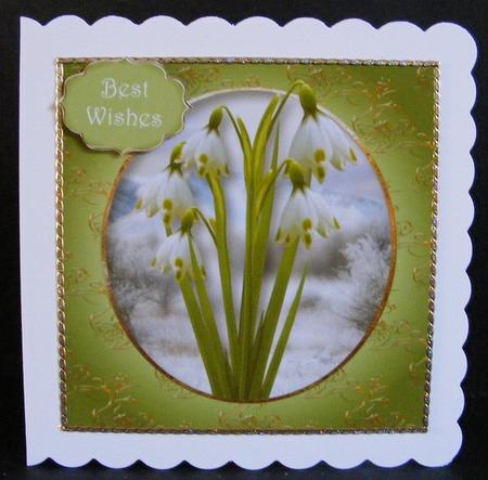 The Snowdrops 8x8 Quick Topper by Diana Holmes