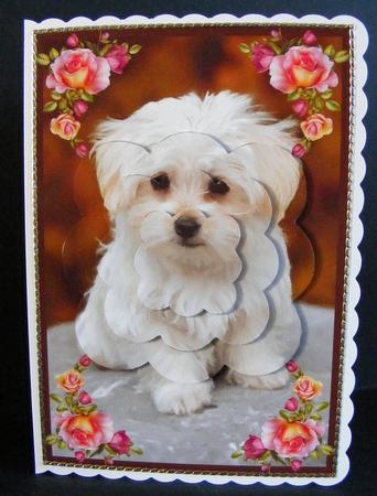Cute Puppy Scalloped Pyramid by Diana Holmes