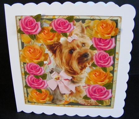 Doggie in the Window by Diana Holmes