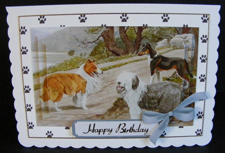Border Collie, Sheepdog & Doberman in the Countryside by Diana Holmes