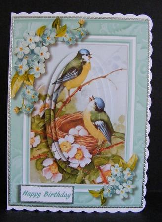 Birds Guarding There Nest  by Diana Holmes