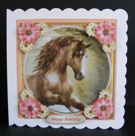Beautiful Stallion and Daisy's  by Diana Holmes