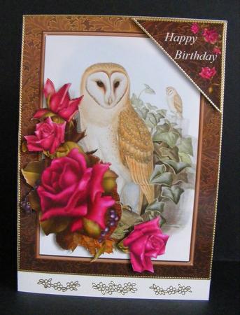 Owl and Roses Two Card Topper and Decoupage by Diana Holmes