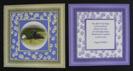 Dog and Cat Paws Frames Png by Diana Holmes