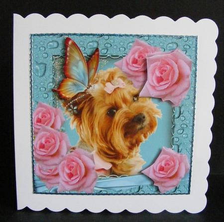 That Little Doggie by Diana Holmes