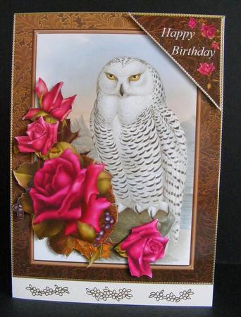 Owl and Roses Card Topper with Decouapge by Diana Holmes
