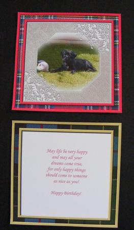 Scotland's Tartan Frames Set 2 by Diana Holmes