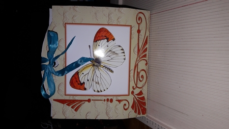 Butterfly Tag Gift Box by Diana Koeleveld