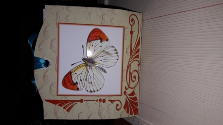 Butterfly Tag Gift Box by Diana Koeleveld