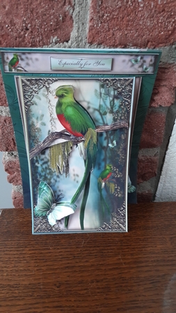 3 in 1 the Woodland Perch by Diana Koeleveld