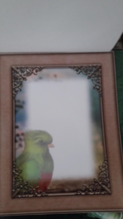 3 in 1 the Woodland Perch by Diana Koeleveld