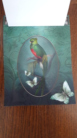3 in 1 the Woodland Perch by Diana Koeleveld