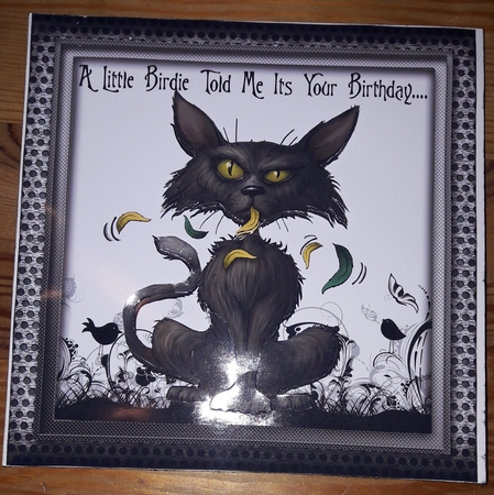 Bad Kitty! by Diana Koeleveld
