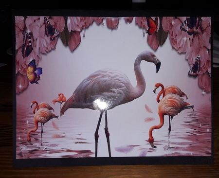 pink flamingo by Diana Koeleveld
