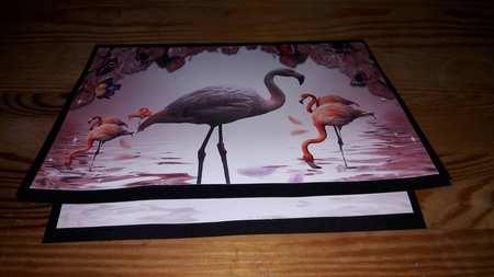 pink flamingo by Diana Koeleveld