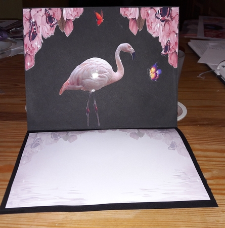 pink flamingo by Diana Koeleveld
