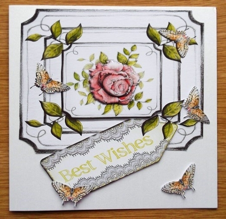 Best Wishes - Rose & Butterflies by Diana Newson