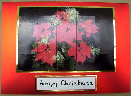 Panelled Poinsettia by Diana Newson
