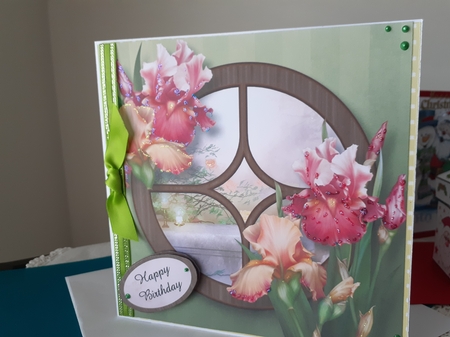 The Circular Window - Blush Iris 8x8 by Diane Carbis