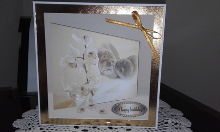 orchid sealed with a kiss by Diane Carbis