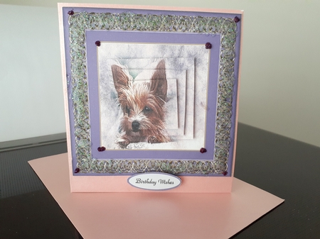 Birthday Greetings by Diane Carbis
