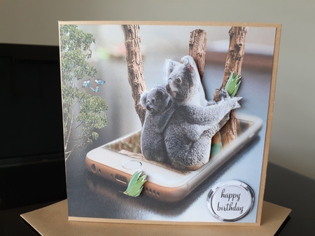 koala by Diane Carbis