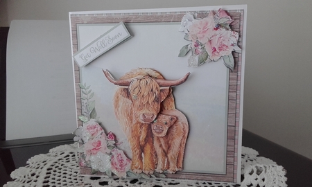 HIGHLAND COWS 6X6 by Diane Carbis