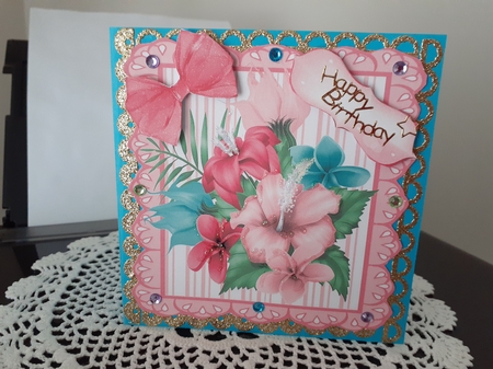pink stripe eyelet frame 8x8 with tropical flowers by Diane Carbis