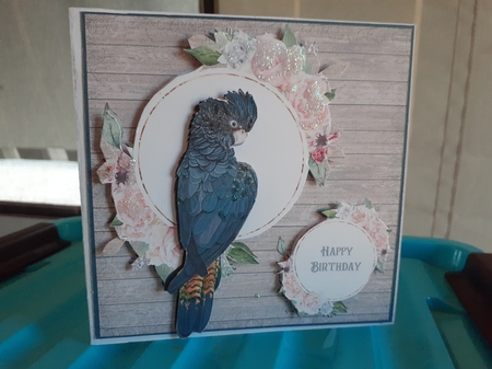 BLACK COCKATOO 6X6 by Diane Carbis