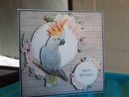 COCKATOO 6X6 by Diane Carbis